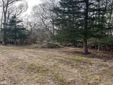 225 Zion, Egg Harbor Township, NJ, 08234 Aditional Picture