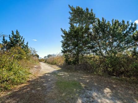 4500 Brigantine Ave, 2109, Brigantine, NJ, 08203 Aditional Picture