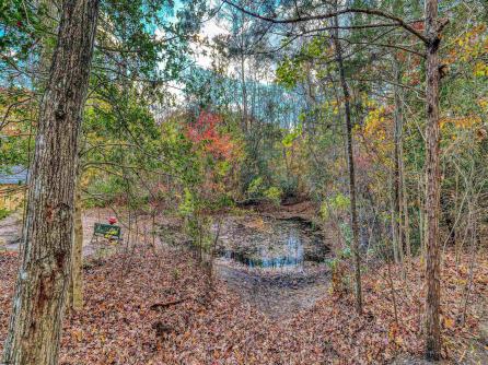 6 English, Egg Harbor Township, NJ, 08234 Aditional Picture