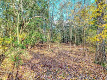 6 English, Egg Harbor Township, NJ, 08234 Aditional Picture