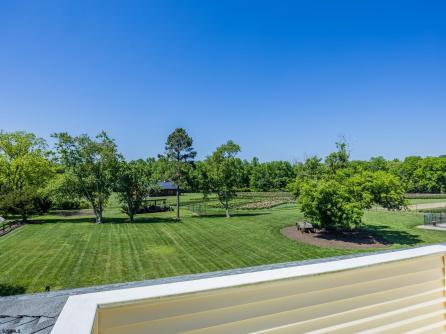 550 Hands Mill, Belleplain, NJ, 08270 Aditional Picture