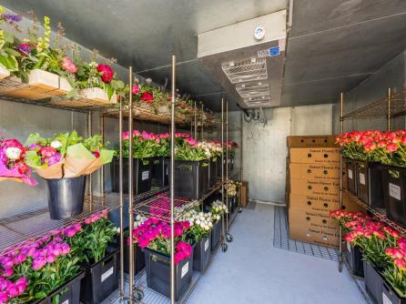 550 Hands Mill, Belleplain, NJ, 08270 Aditional Picture