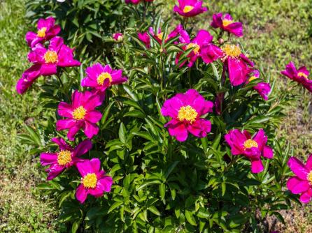 550 Hands Mill, Belleplain, NJ, 08270 Aditional Picture