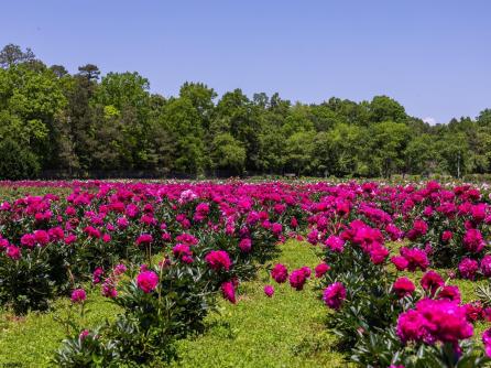 550 Hands Mill, Belleplain, NJ, 08270 Aditional Picture