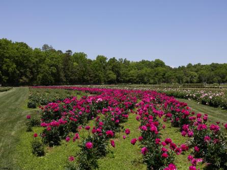 550 Hands Mill, Belleplain, NJ, 08270 Aditional Picture