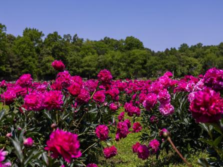 550 Hands Mill, Belleplain, NJ, 08270 Aditional Picture