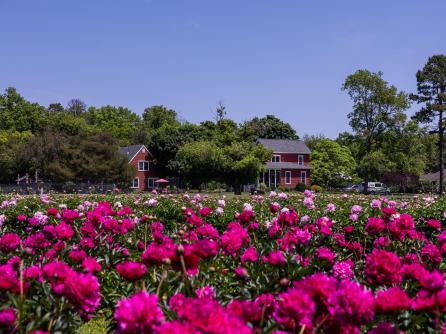 550 Hands Mill, Belleplain, NJ, 08270 Aditional Picture