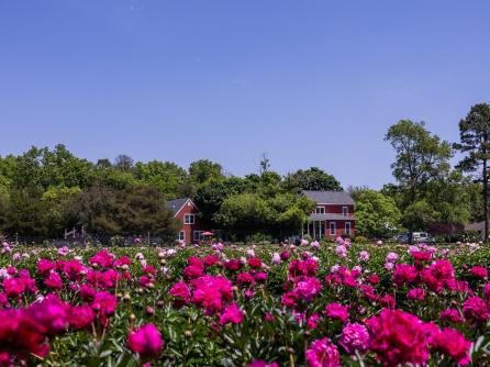 550 Hands Mill, Belleplain, NJ, 08270 Aditional Picture