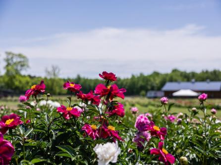 550 Hands Mill, Belleplain, NJ, 08270 Aditional Picture