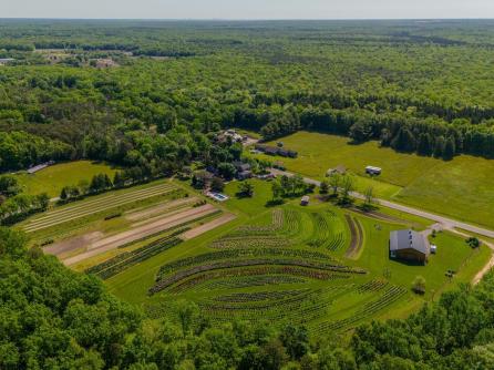 550 Hands Mill, Belleplain, NJ, 08270 Aditional Picture