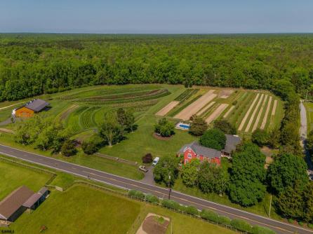 550 Hands Mill, Belleplain, NJ, 08270 Aditional Picture