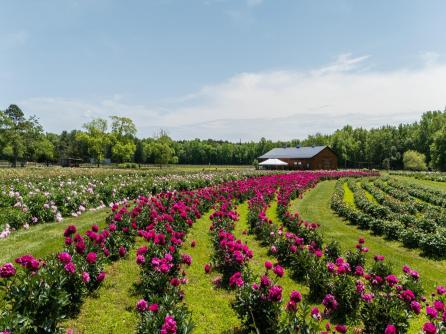 550 Hands Mill, Belleplain, NJ, 08270 Aditional Picture