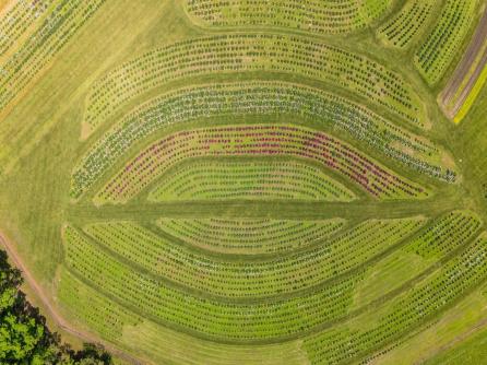 550 Hands Mill, Belleplain, NJ, 08270 Aditional Picture