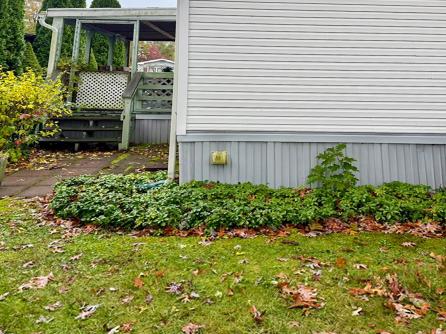 307 Jetty, Egg Harbor, NJ, 08234 Aditional Picture