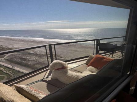 4800 Boardwalk, 1908, Ventnor, NJ, 08406 Aditional Picture