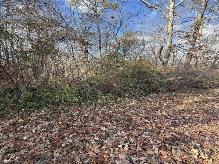 155-161 Spring, Millville, NJ, 08332 Aditional Picture