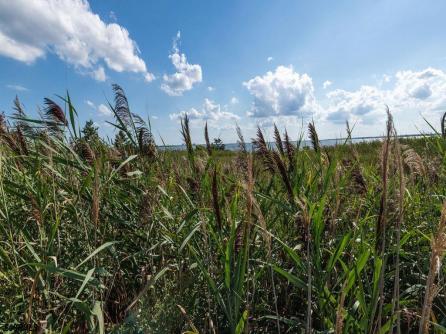 326 Sanderling Ln, 326, Egg Harbor Township, NJ, 08232 Aditional Picture