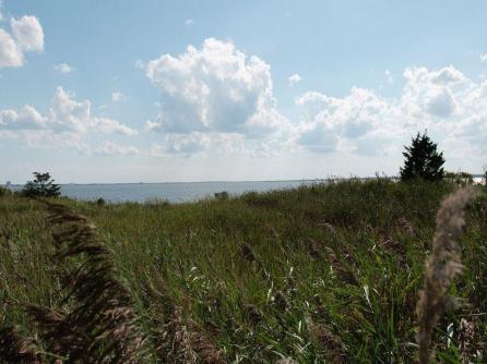 326 Sanderling Ln, 326, Egg Harbor Township, NJ, 08232 Aditional Picture