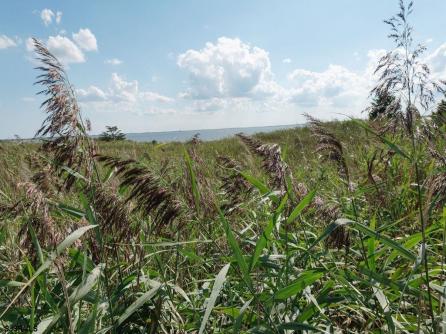 326 Sanderling Ln, 326, Egg Harbor Township, NJ, 08232 Aditional Picture