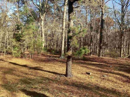 406 Pitney Rd, Galloway Township, NJ, 08205 Aditional Picture