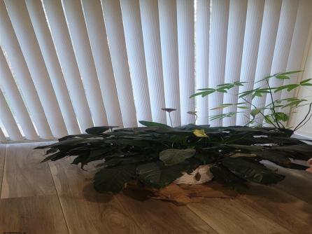 257 Heather Croft, 257, Egg Harbor Township, NJ, 08234 Aditional Picture