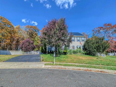 312 Joann, Egg Harbor Township, NJ, 08234 Aditional Picture