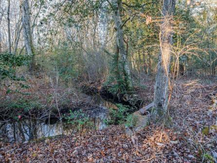 9 Deerfield Trail, Petersburg, NJ, 08270 Aditional Picture