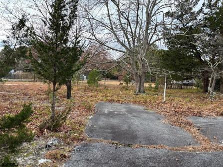 215 Old New York Rd, Port Republic, NJ, 08241 Aditional Picture