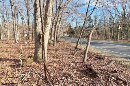 51 Jimmie Leeds Rd, Galloway Township, 08205