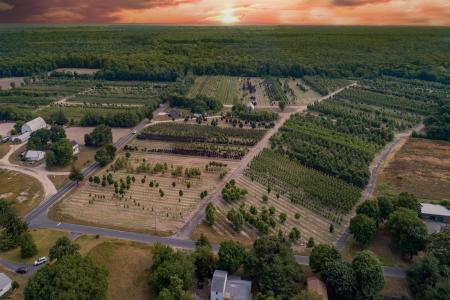 468 Hands Mill, Dennis Township, 08270