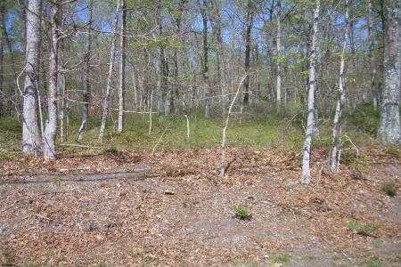 HARDING WHY 000, Buena Vista Township, 08310