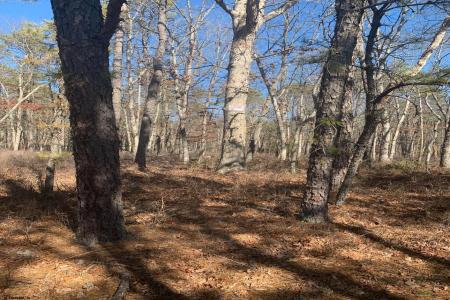 1 Belmont Ave, Mays Landing, 08330