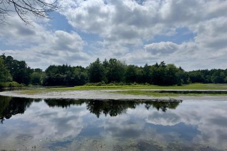 4320 Lake Nescochague, Hammonton, 08037