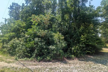 B:851/L:7 Ash, Galloway Township, 08205