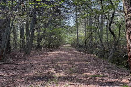 2600 Elwood, Mullica Township, 08037