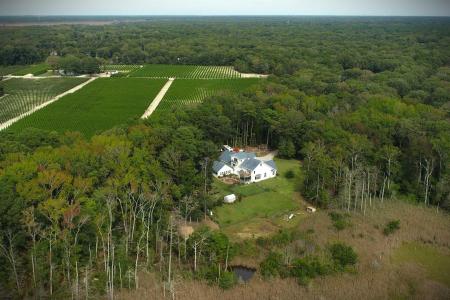 46 Easy, South Dennis, 08210