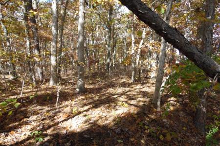 00 HOLLY, Galloway Township, 08205