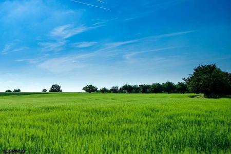 40 BUTTER ROAD, Upper Township, 08230